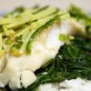 Ginger & Serrano Steamed Roughy