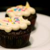 Rich Chocolate Cupcakes with Vanilla Bean Frosting