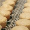 Adventures in High Altitude Baking: Part II