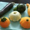 The Summer Squash Experiment