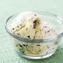 Fresh Mint Chocolate Chip Ice Cream