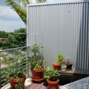 Our Balcony Garden