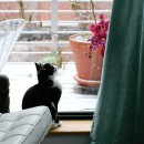 it's Snowing!