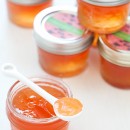 Watermelon Jelly