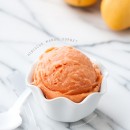 Mango Hibiscus Sorbet