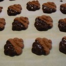 Dipped-Cookies