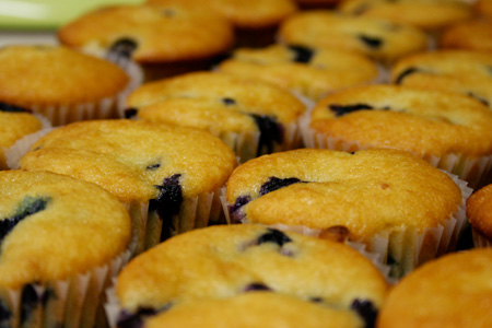 Blueberry Coffee Cake Muffins