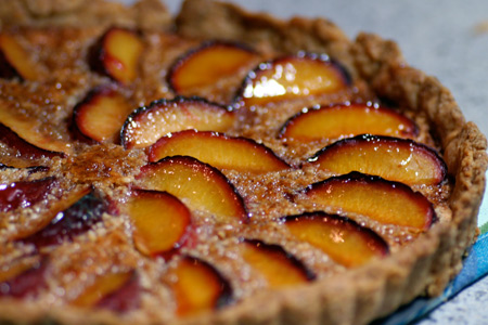 Plum Almond Tart