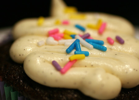 Rich Chocolate Cupcakes with Vanilla Bean Frosting Closeup