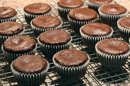 Baking Chocolate Cupcakes at High Altitude