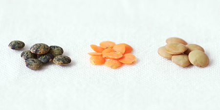 Comparing varieties of lentil