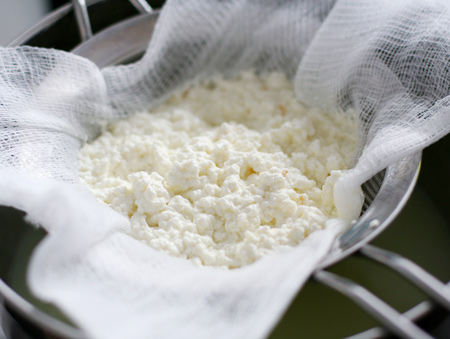 Homemade Ricotta Cheese