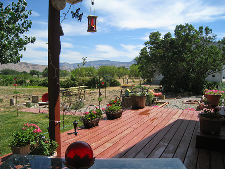 Miles of Orchards in Palisade