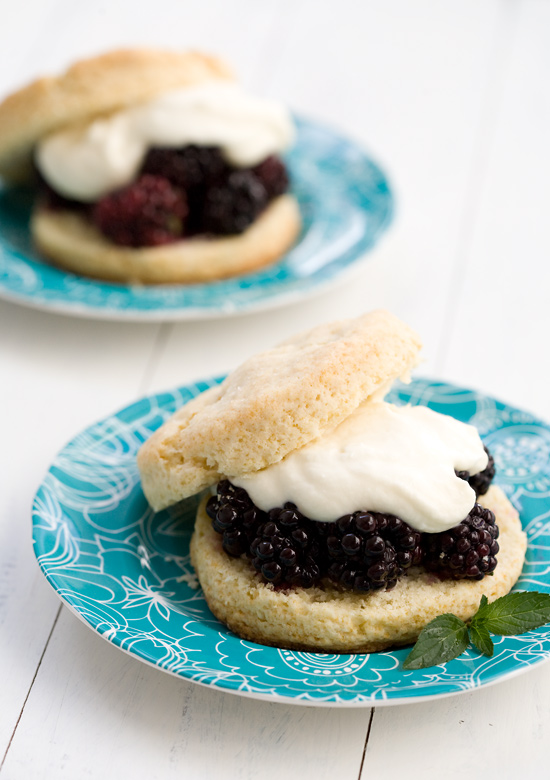 summer berry shortcake with goat cheese cream