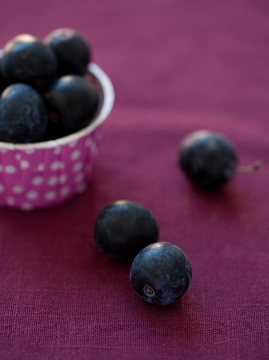 Damson Plums Damson Plums