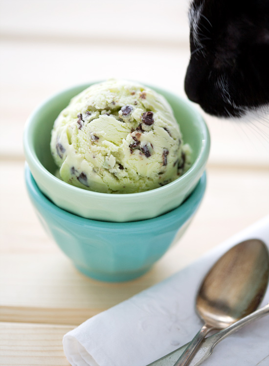Andes Mint Chip Ice Cream