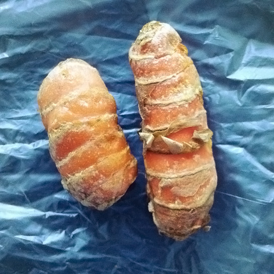 Fresh Turmeric Root Fresh Turmeric Root