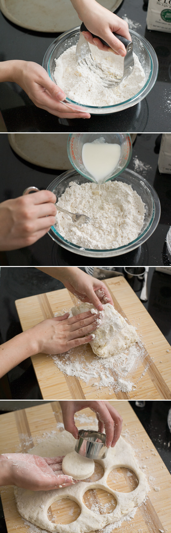 How to Make Fluffy and Flaky Buttermilk Biscuits