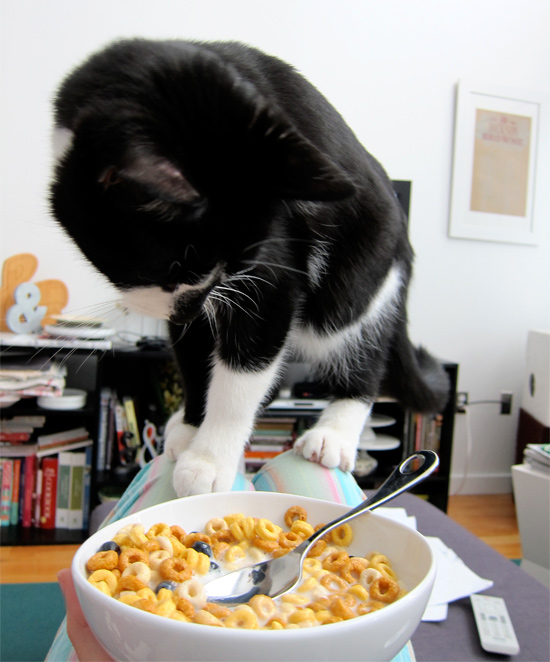 He loves cheerios.