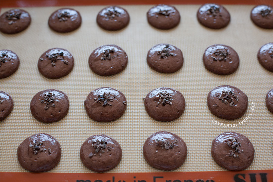 Chocolate Cocoa Nib Macarons