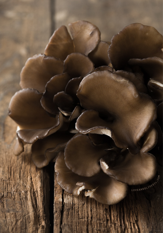 Maitake "Hen of the Woods" Mushroom