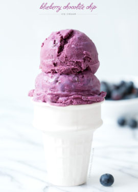 Blueberry Chocolate Chip Ice Cream