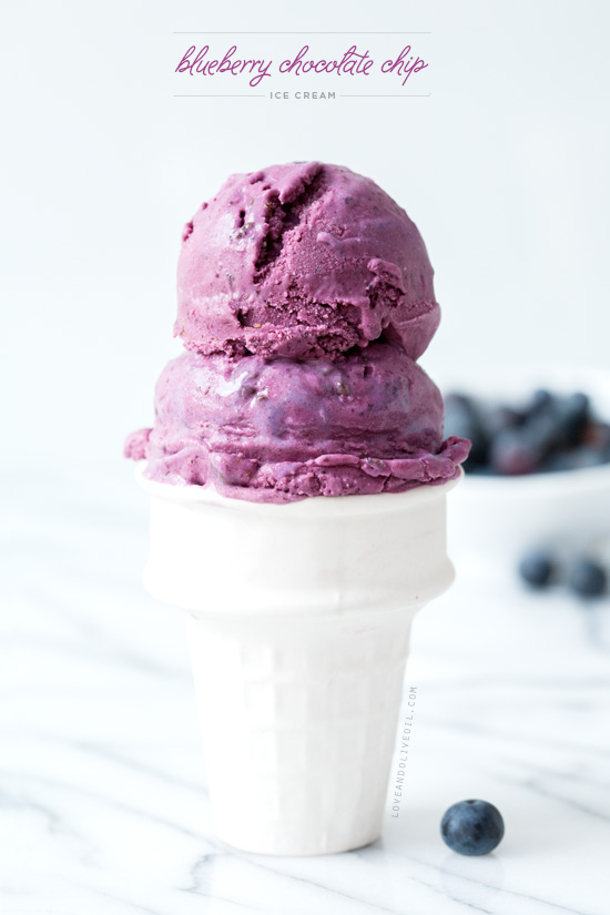 Blueberry Chocolate Chip Ice Cream