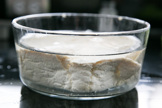 Cover with water to cool Making Homemade Tofu