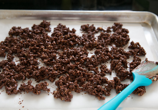 Chocolate Peanut Butter Crunch Ice Cream