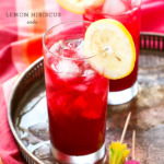 Lemon Hibiscus Soda