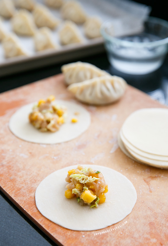 Mango Habañero Potstickers