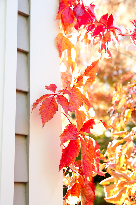 Autumn in Jacksonville, Oregon