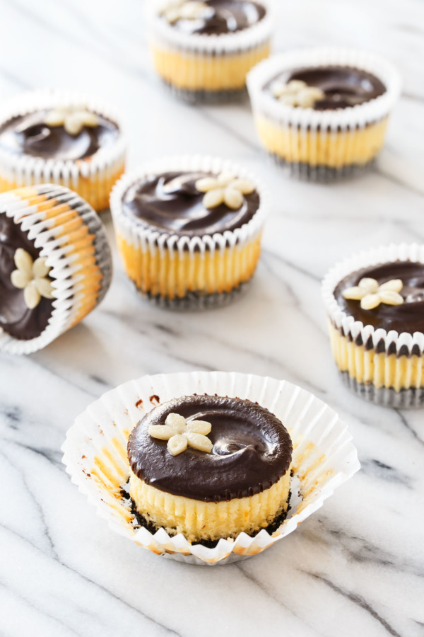 Marzipan Mini Cheesecakes Recipe baked in muffin cups