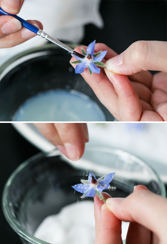 How to Make Candied Edible Flowers