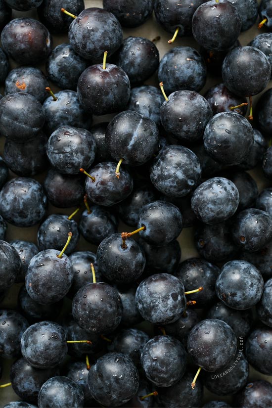 Damson Plums for Homemade Asian Plum Sauce