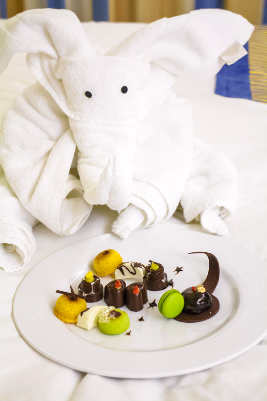 Carnival Foodie Cruise - Towel Elephant and a Special Sweet Treat