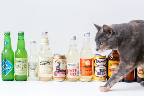 11 Best Ginger Beer Brands (from a self-described ginger beer fanatic)