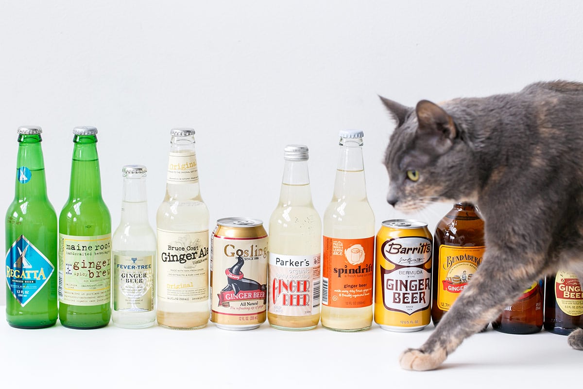 11 Best Ginger Beers Love and Olive Oil