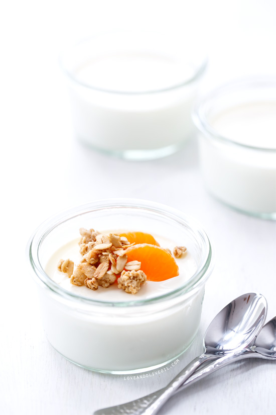 How to Make Homemade Greek Yogurt