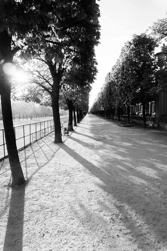 Tuileries Garden, Paris France