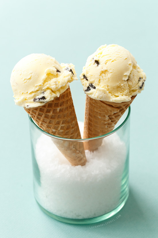 Sea Salt Vanilla Fudge Chunk Ice Cream