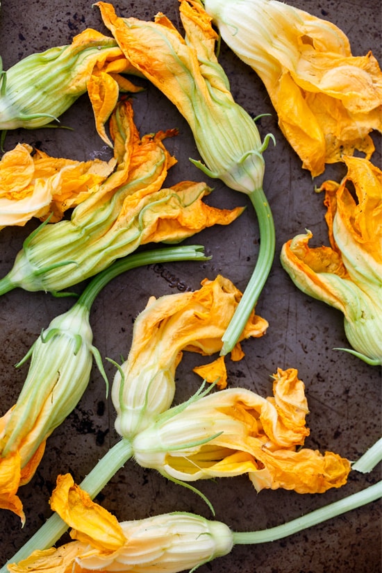 Fresh Zucchini Blossoms for frying