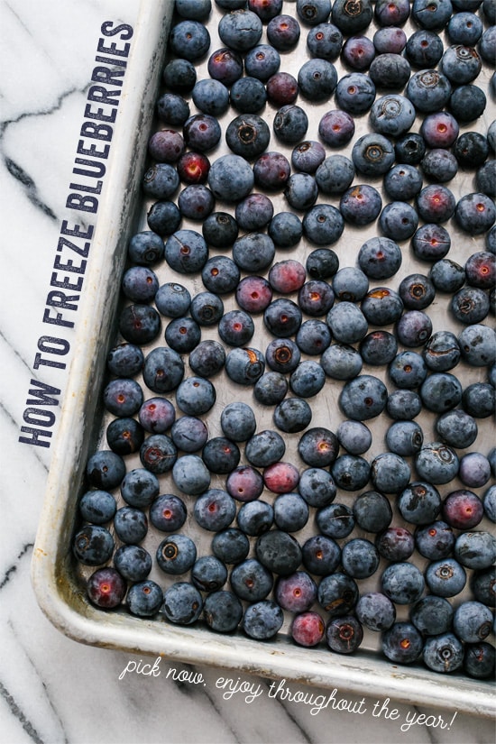 Freezing blueberries deals