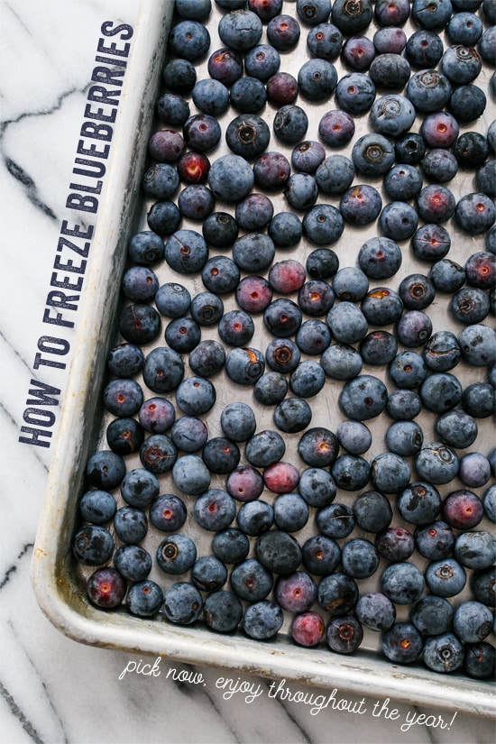 kitchen basics: how to freeze blueberries