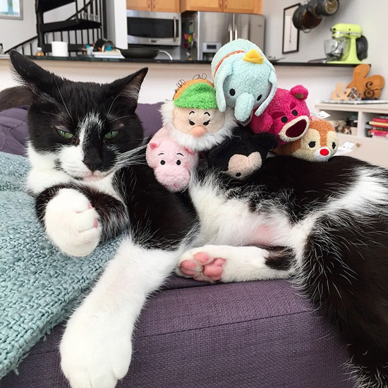 Sgt Pepper and his Tsum Tsum buddies