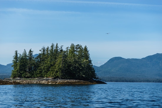 Fishing & Wilderness Dining Excursion, Ketchikan Alaska