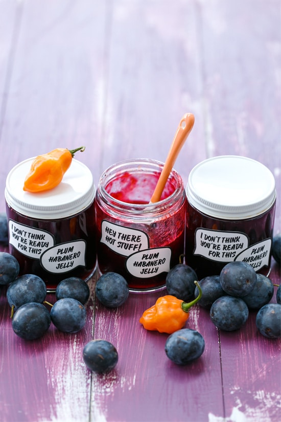 Damson Plum & Habanero Jelly (and FREE printable jam labels!)