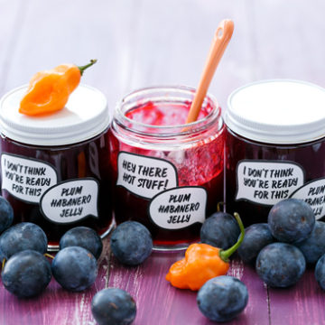 Damson Jelly for Sweet and Savoury - Fuss Free Flavours