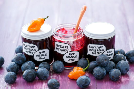 Damson Plum & Habanero Jelly (and FREE printable jam labels!)