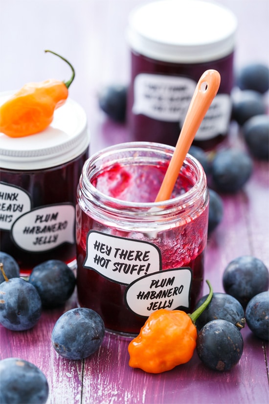 Damson Plum & Habanero Jelly (and FREE printable jam labels!)